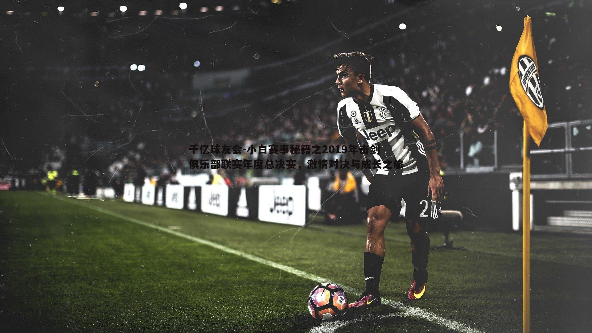 小白赛事秘籍之2019年击剑俱乐部联赛年度总决赛,激情对决与成长之旅